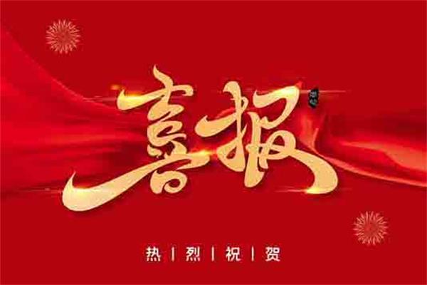 2019年度中國服裝行業百強名單來了！2020，洛茲會更好......